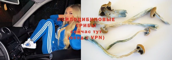 дмт Беломорск