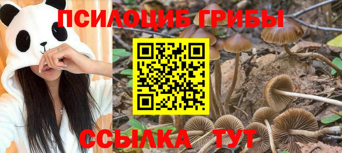 Галлюциногенные грибы Magic Shrooms Гудермес
